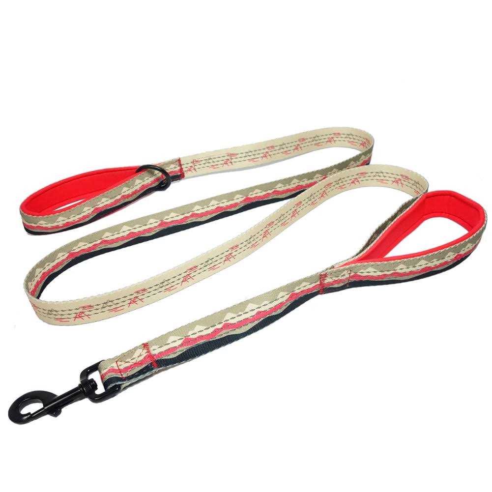 6ft Dog Leash Padded Handle S15424