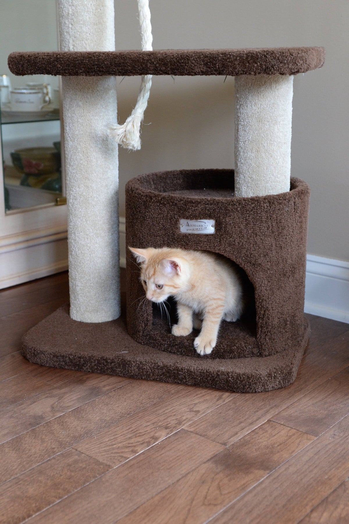 Carpeted Cat Tree E776