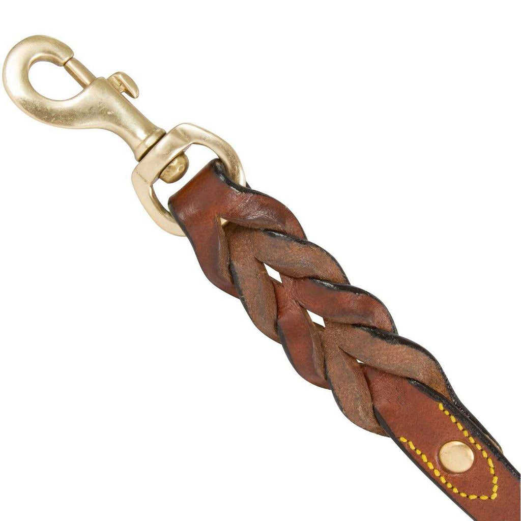 Leather Braided Dog Leash I5840