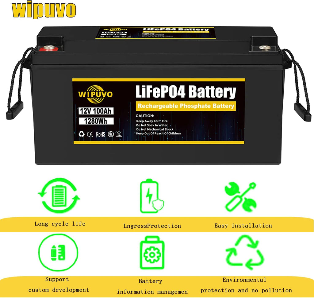12V 100A LiFePO4 Deep Cycle Rechargeable Battery Pack with Built in BMS D814