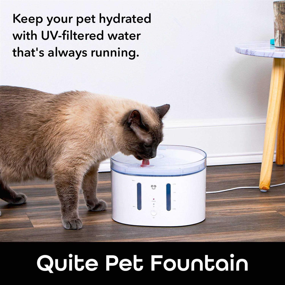2.5 Liter Automatic Pet Water Dispenser E99509