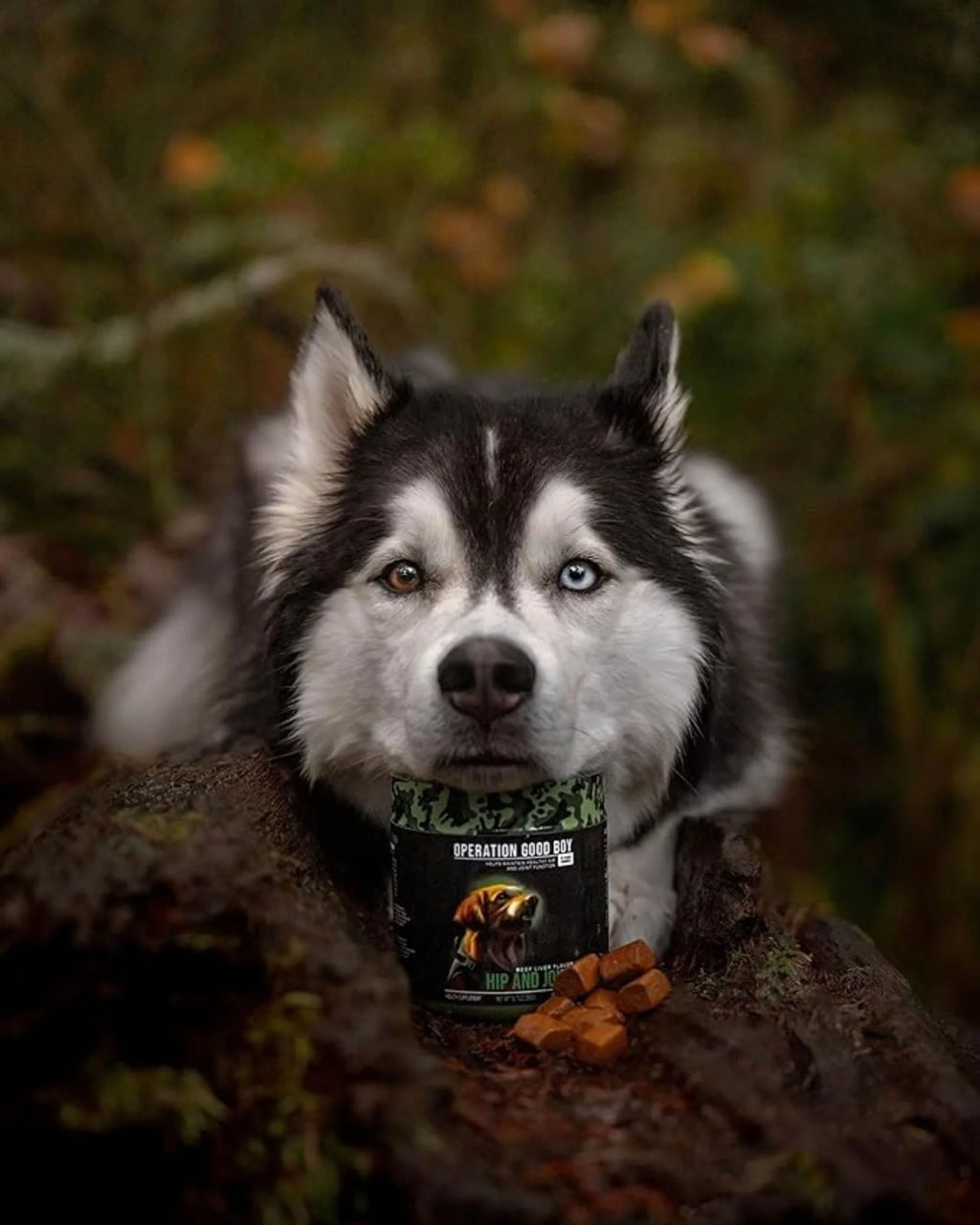 90 Soft Chews Hip & Joint Health Supplement for Dogs O639
