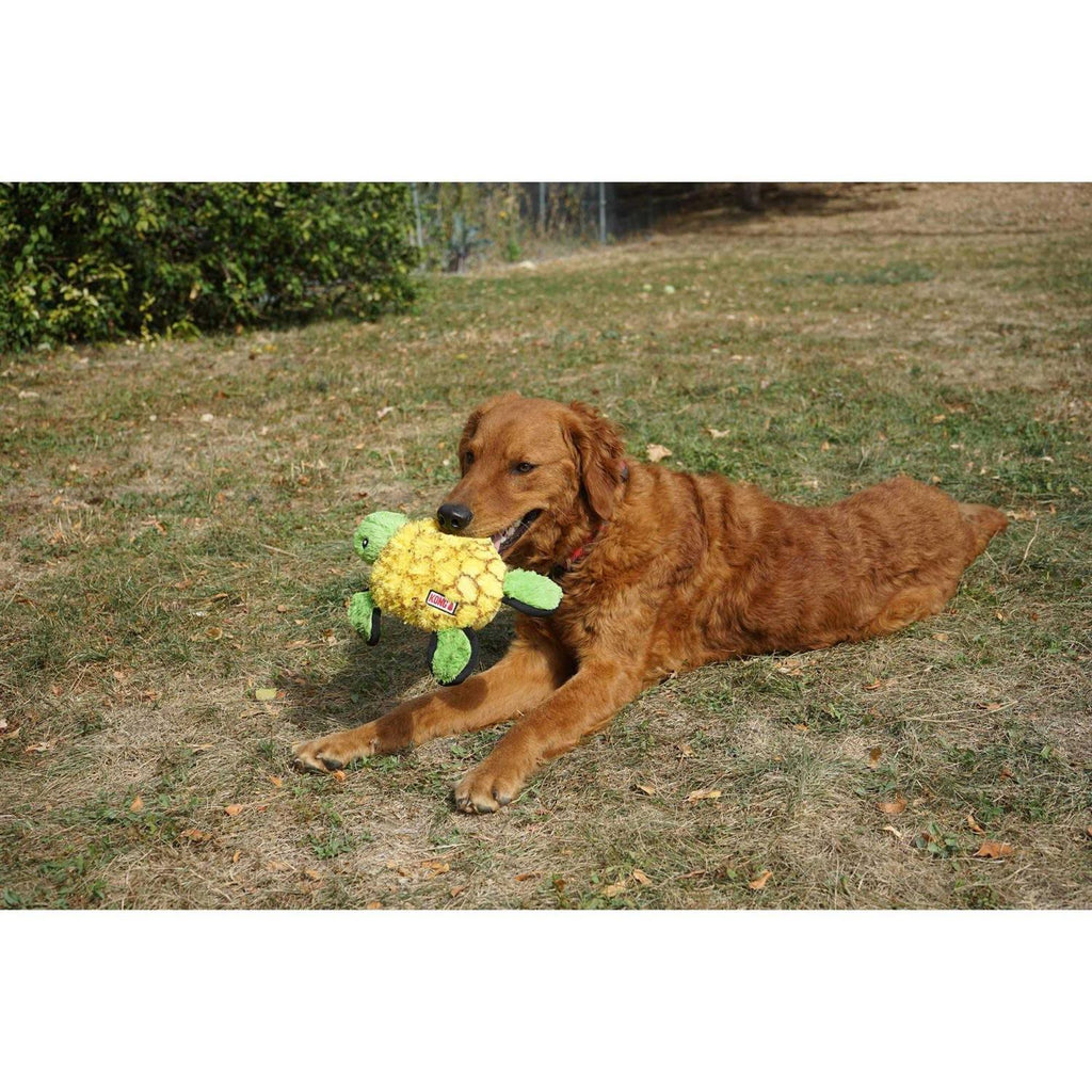 Ballistic Turtle Dog Toy P48435