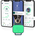 Dog Health and Fitness Tracker O9623
