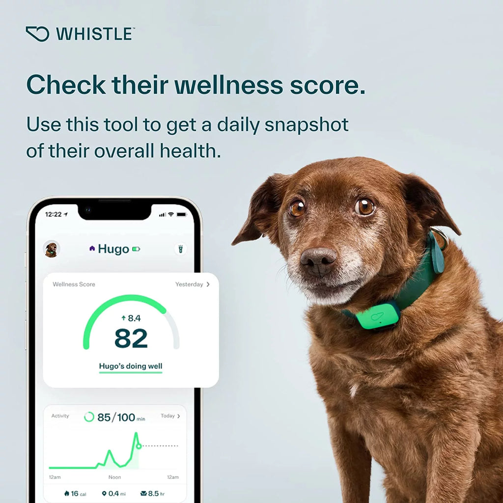 Dog Health and Fitness Tracker O9623