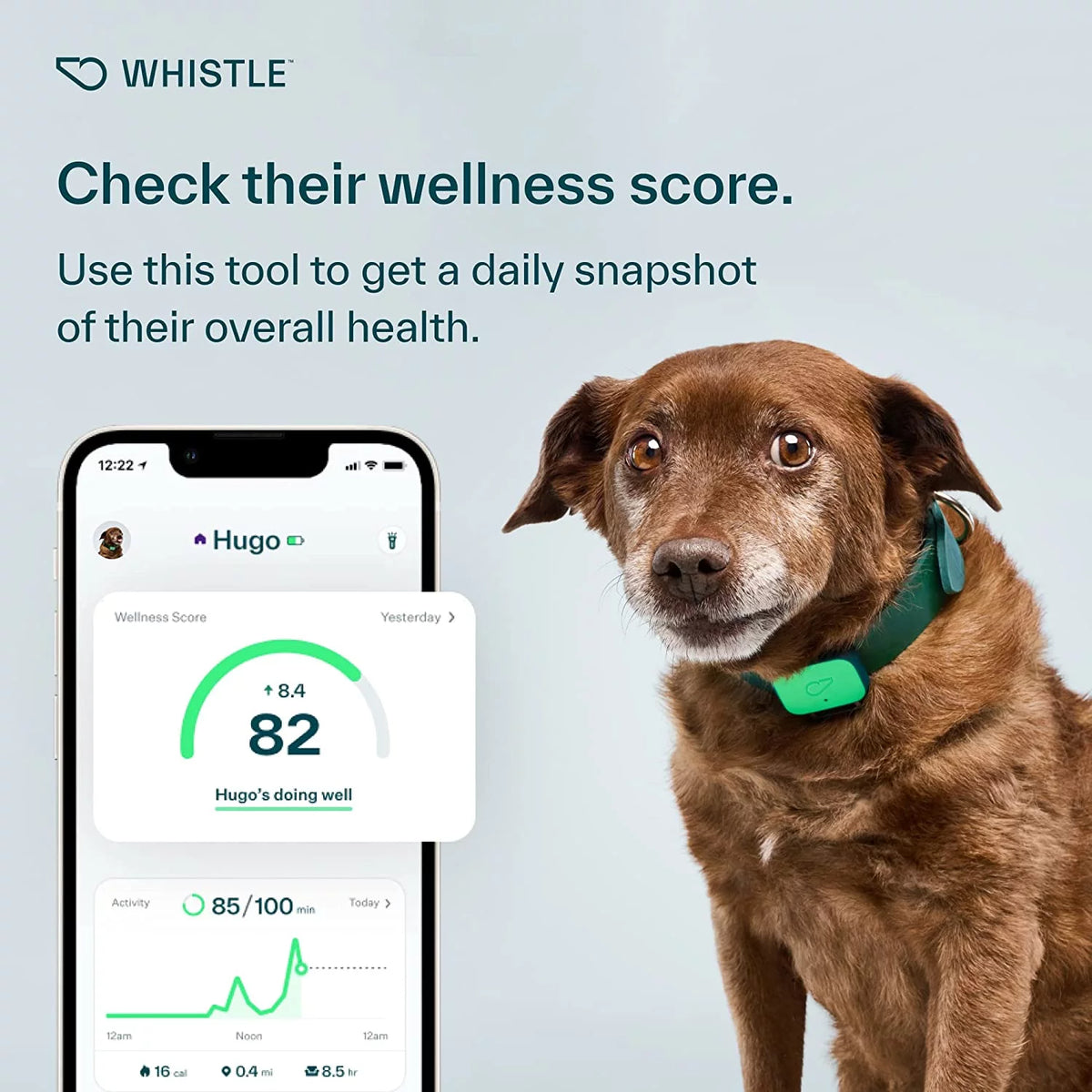 Dog Health and Fitness Tracker O9623
