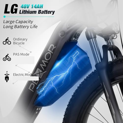 750W Electric Bike 48V 14AH Removable Battery 27.5" Fat Tire 7 Speed Z68562