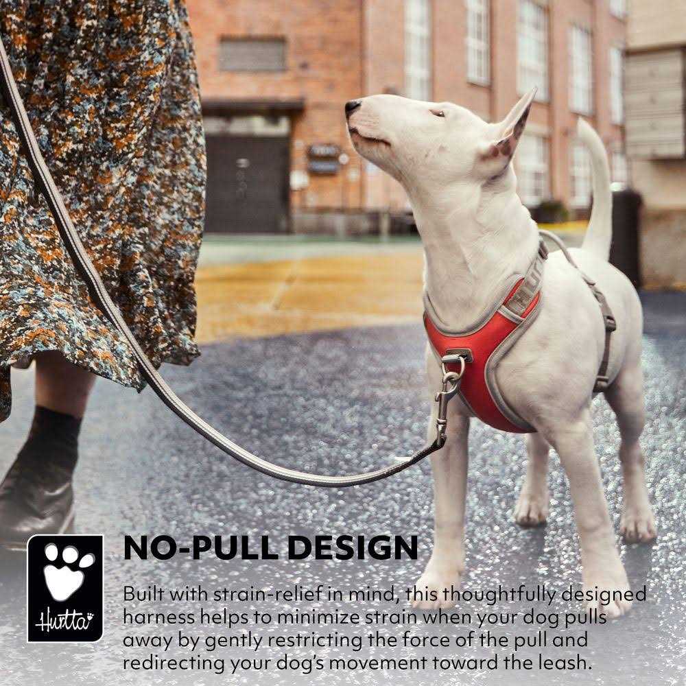 No-Pull Dog Harness Z152