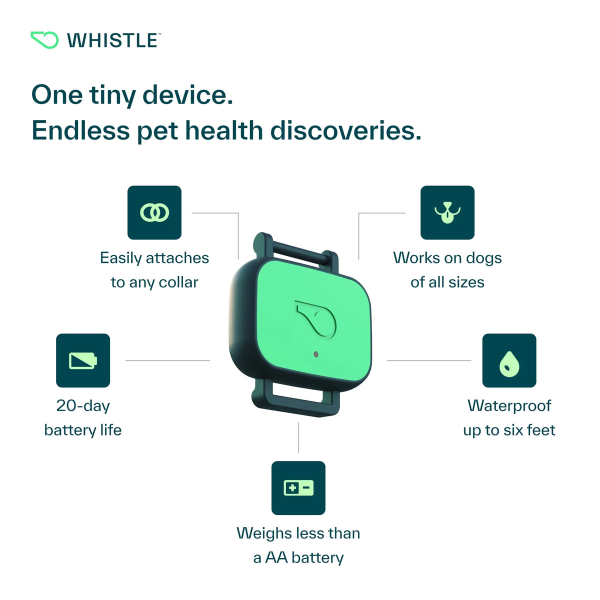 Dog Health and Fitness Tracker O9623