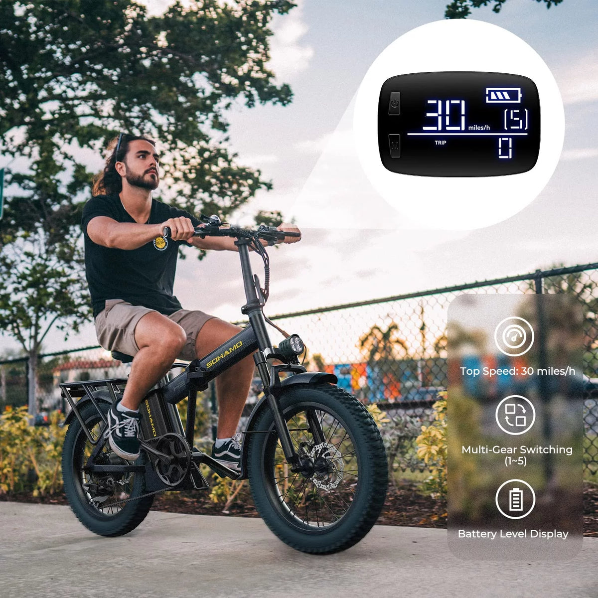 Foldable 20" Fat Tire Electric Bike with 750W Motor E8013
