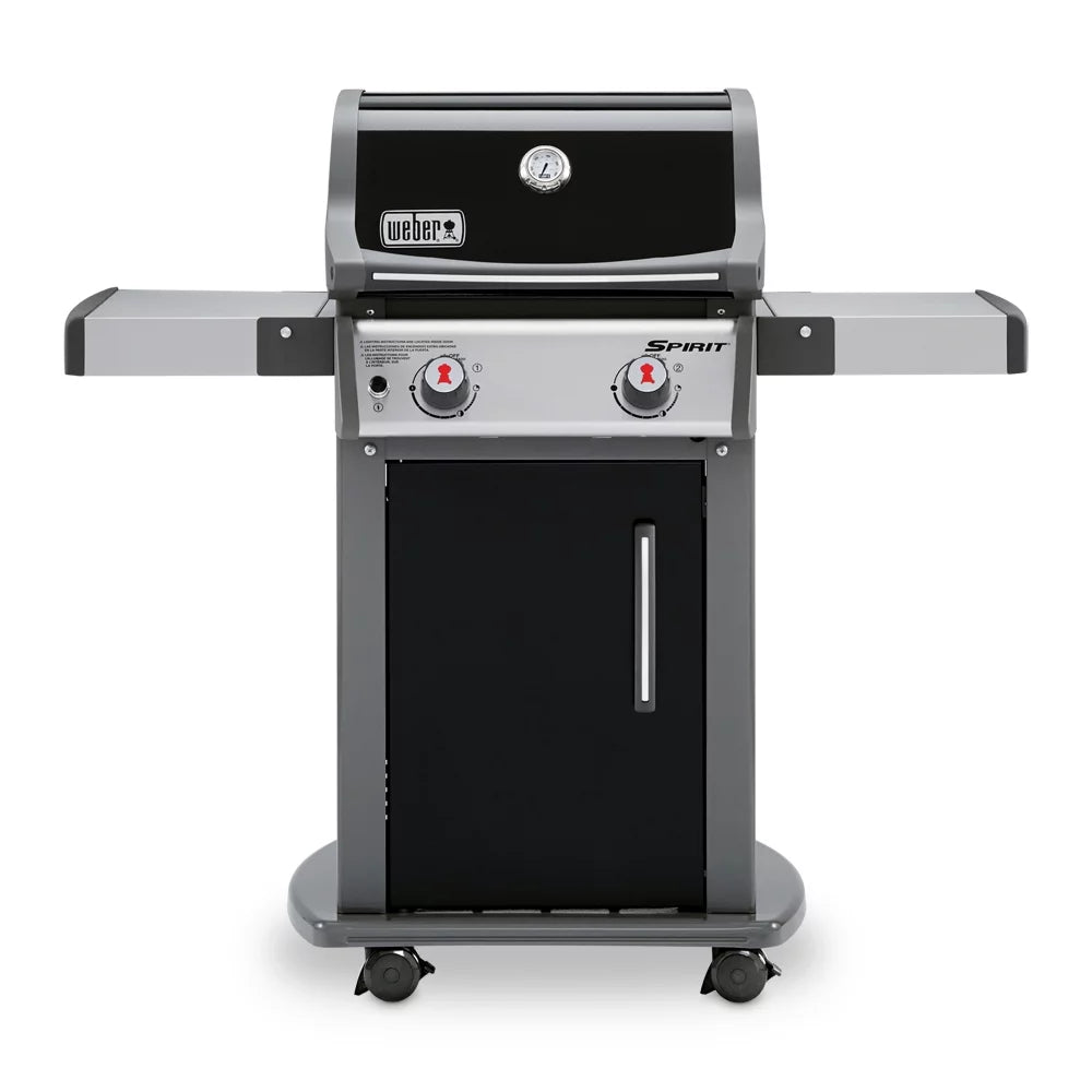 2-Burner Liquid Propane Gas Grill in Black T605
