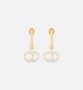 Earrings L19635