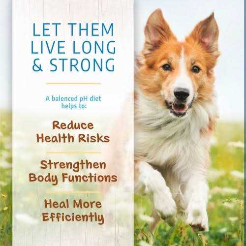Limited Ingredient Dry Dog Food N37304