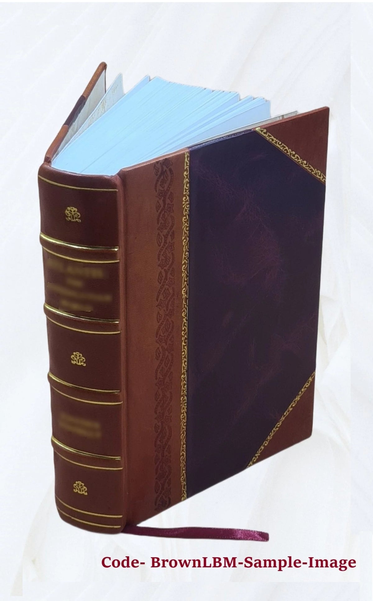 Commentaria in septem distinctiones de paenitentia Leather Bound T75816