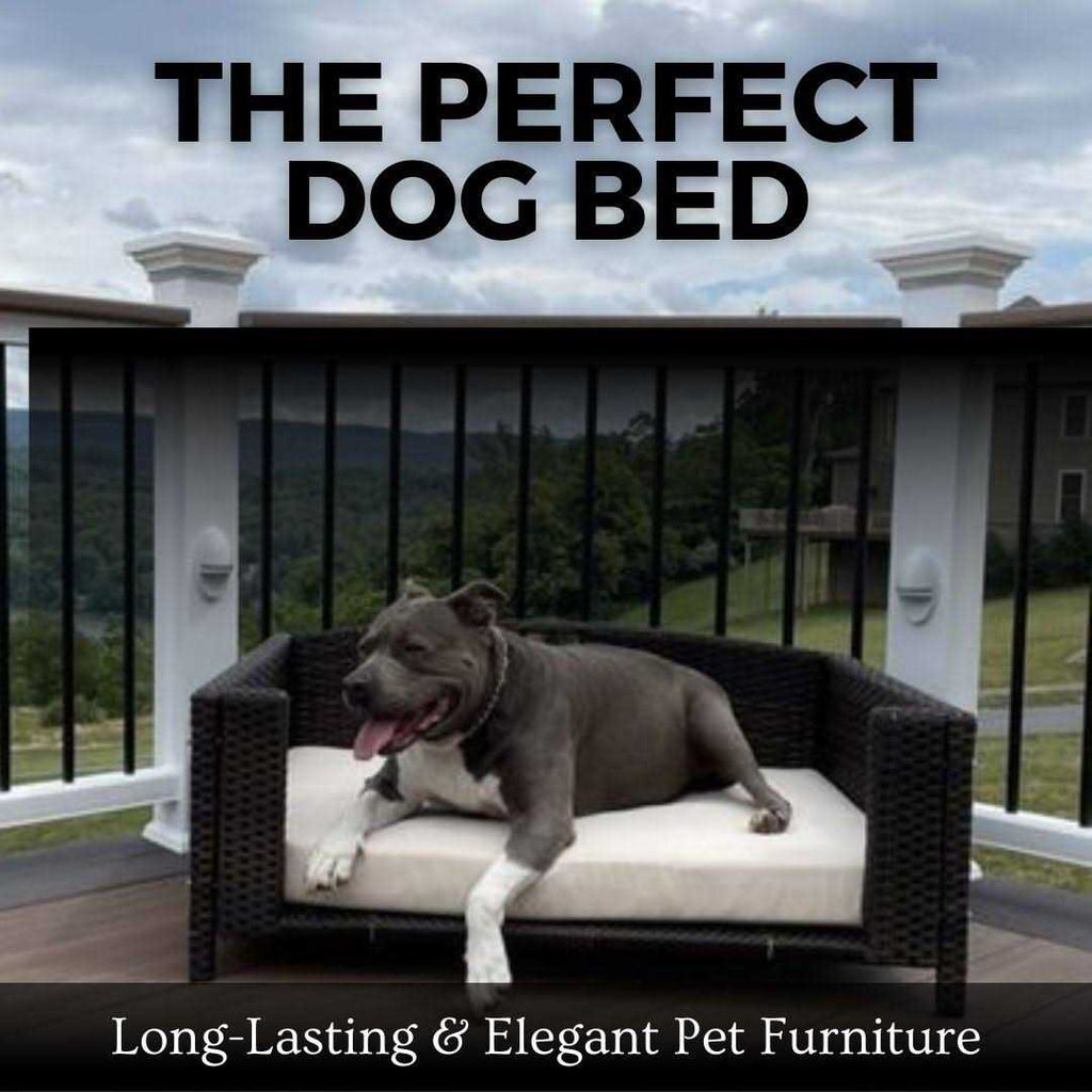 Rattan Rectangular Pet Sofa B65348