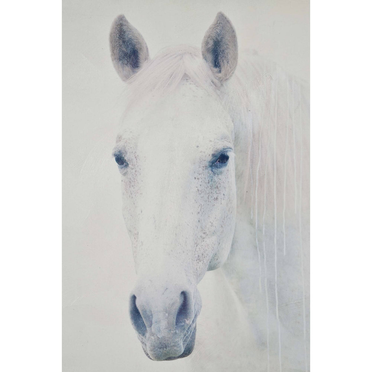 Canvas Painting N717
