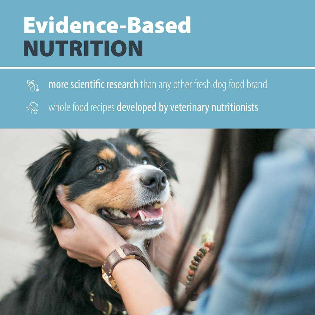 Low Fat Wet Dog Food T76951