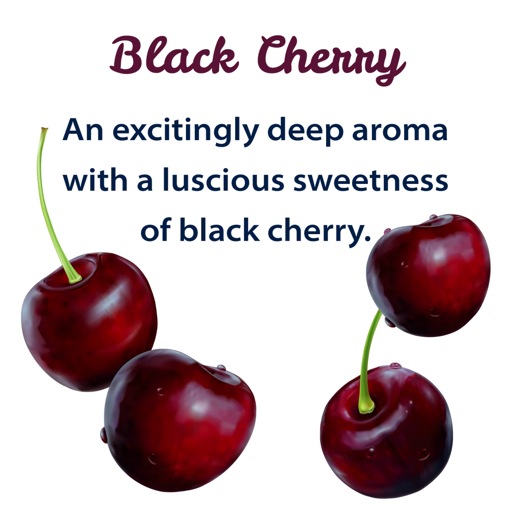 Black Cherry Sparkling Spring Water 12 Pack 42 oz G5800