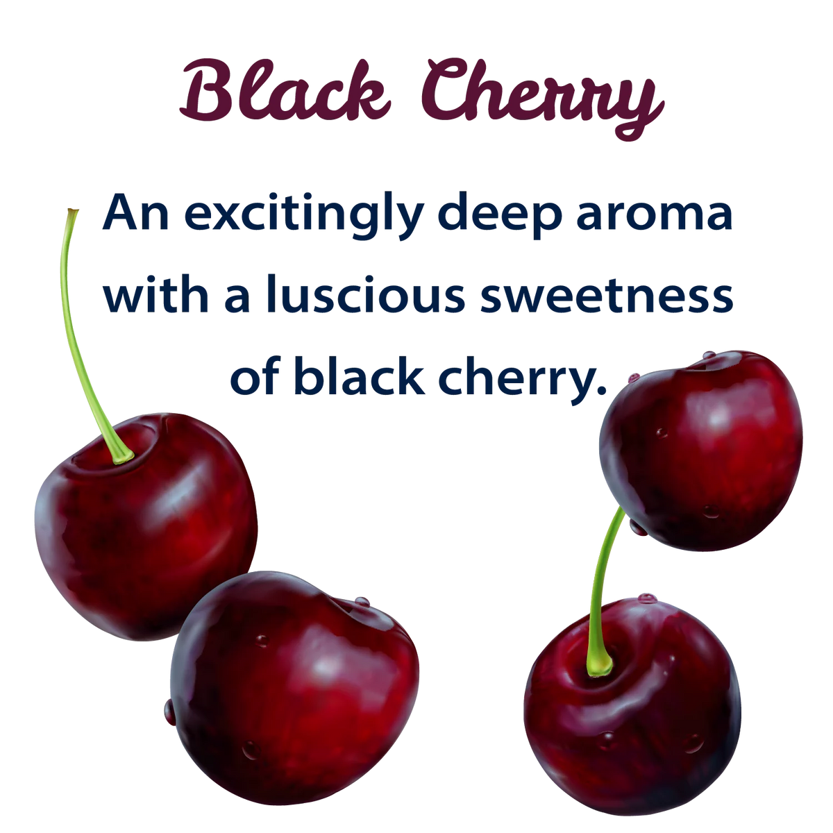 Black Cherry Sparkling Spring Water 12 Pack 42 oz G5800