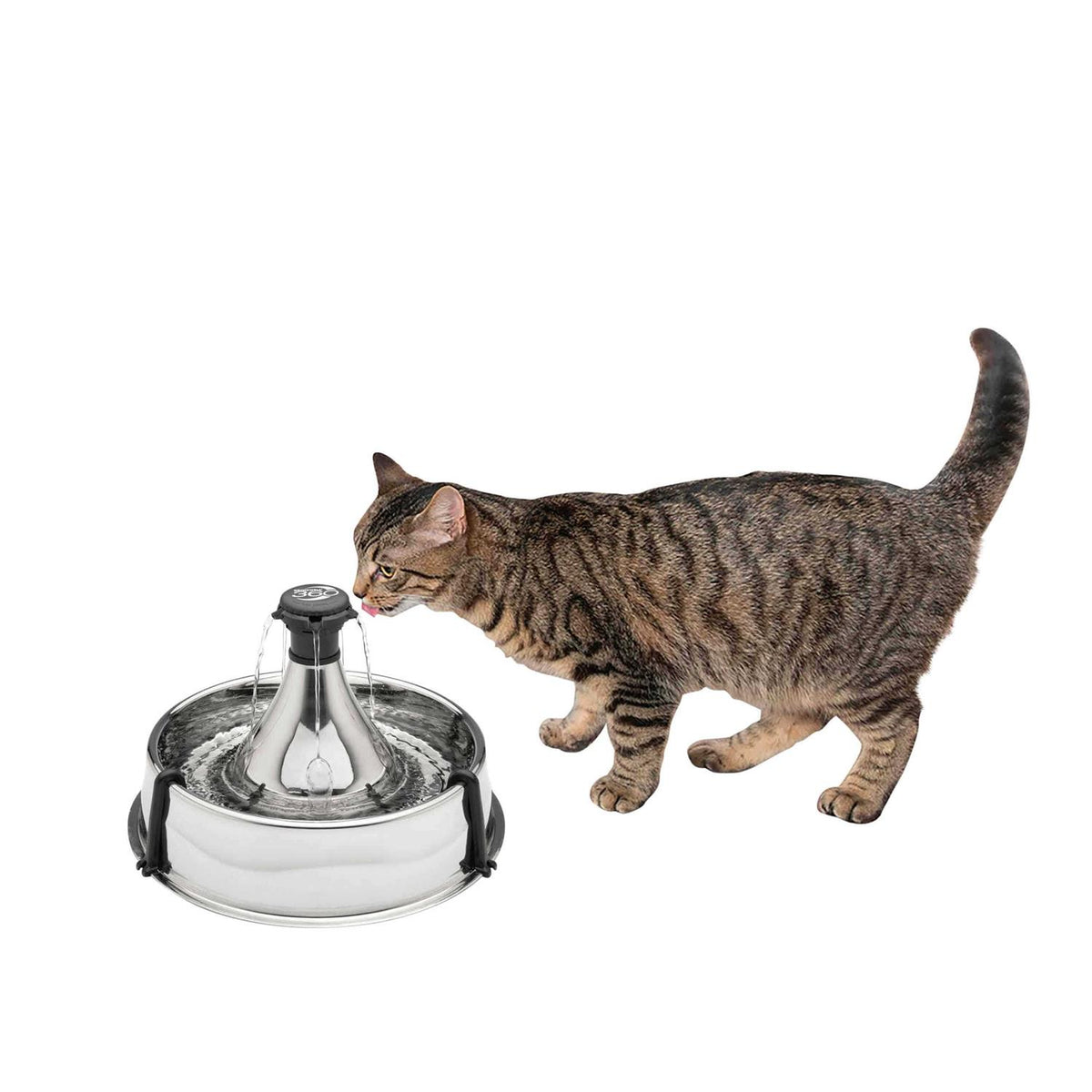Stainless Steel Pet Fountain E1304