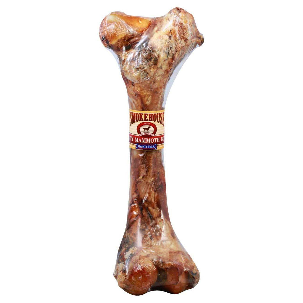 Meaty Mammoth Bone P3976