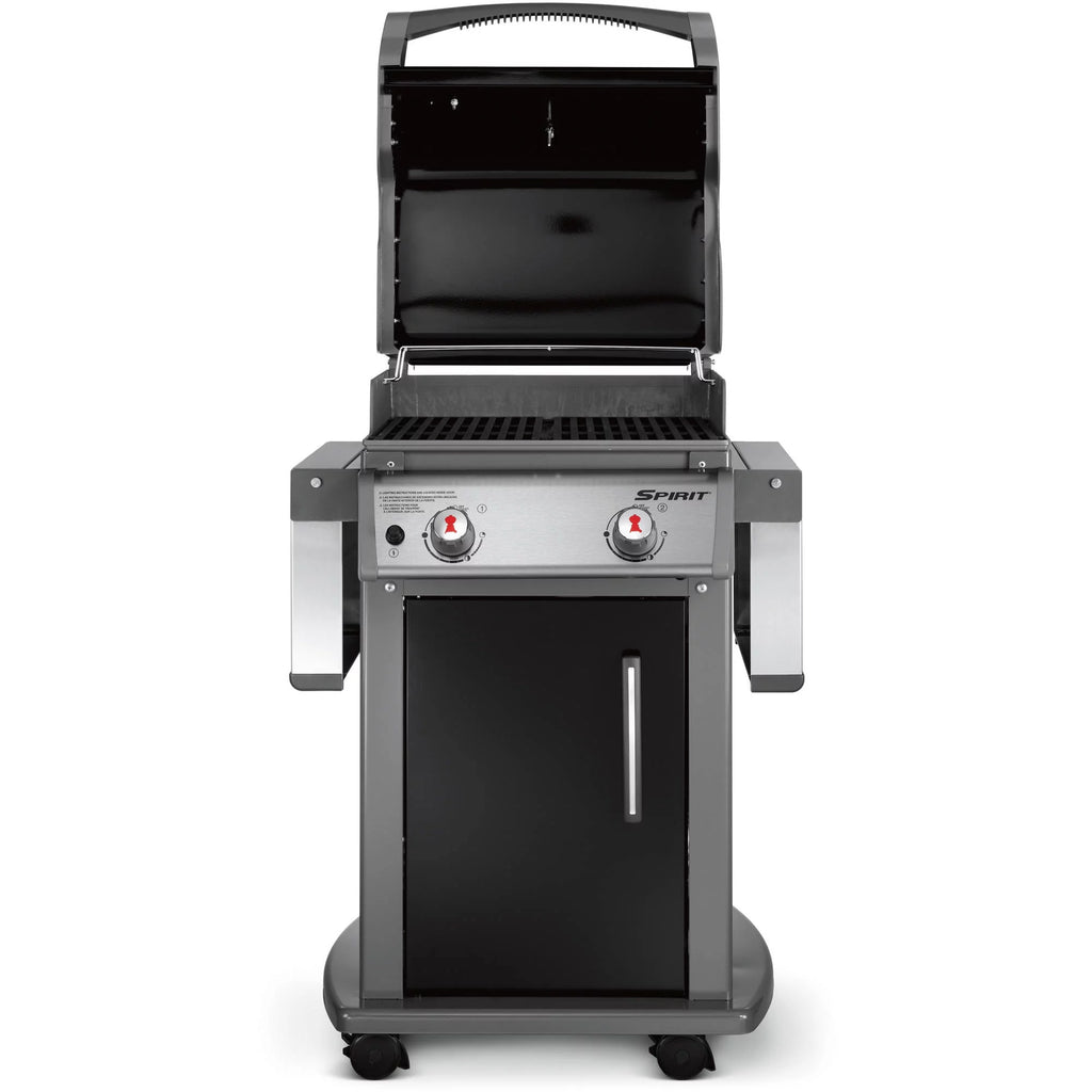 2-Burner Liquid Propane Gas Grill in Black T605