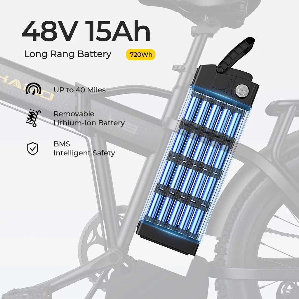 Foldable 20" Fat Tire Electric Bike with 750W Motor E8013