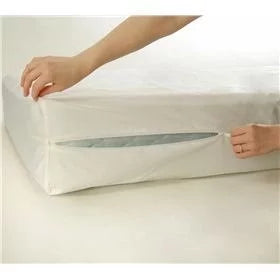 Blue King Innerspring Mattress with Protector R4496