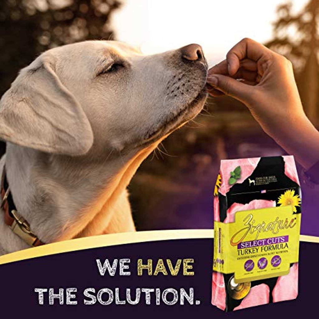 Turkey Formula Dry Dog Food C290004
