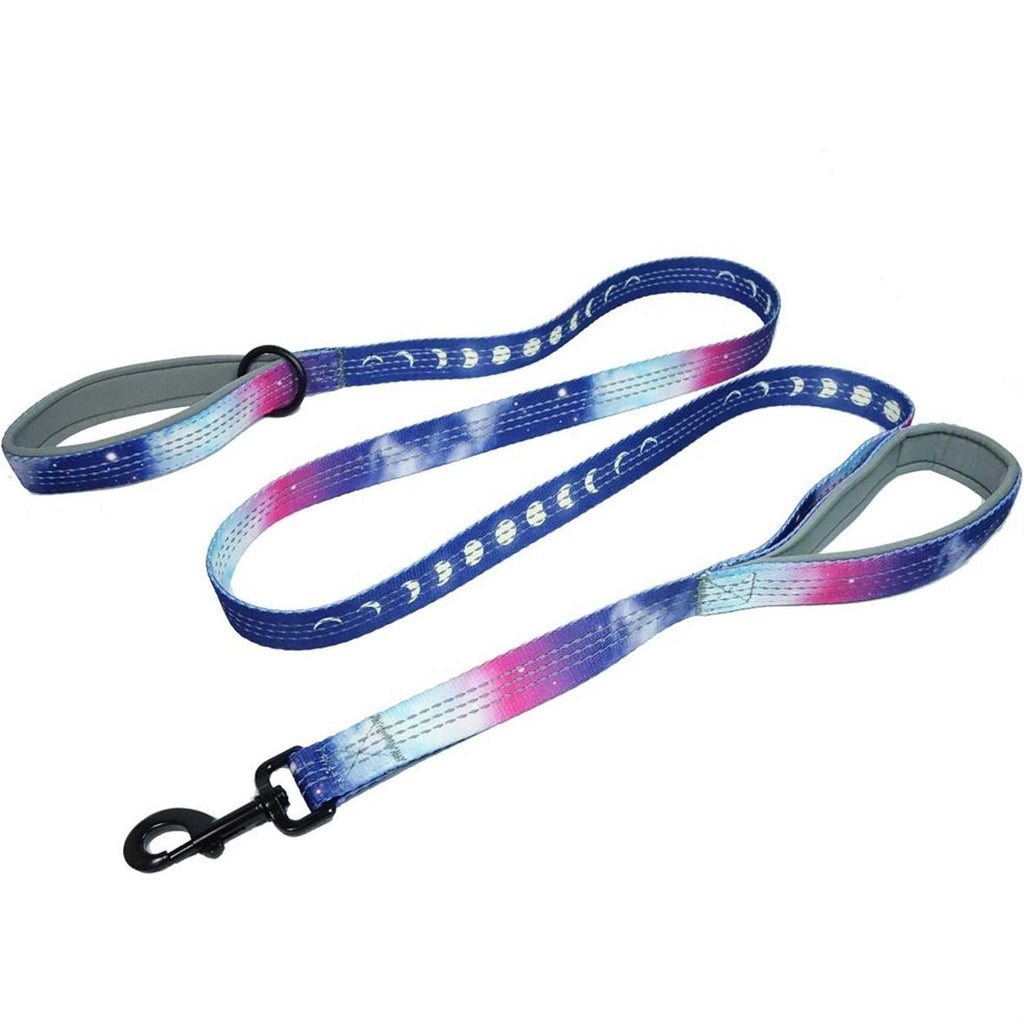 6ft Dog Leash Padded Handle S15424