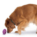 Dog Toy G320468