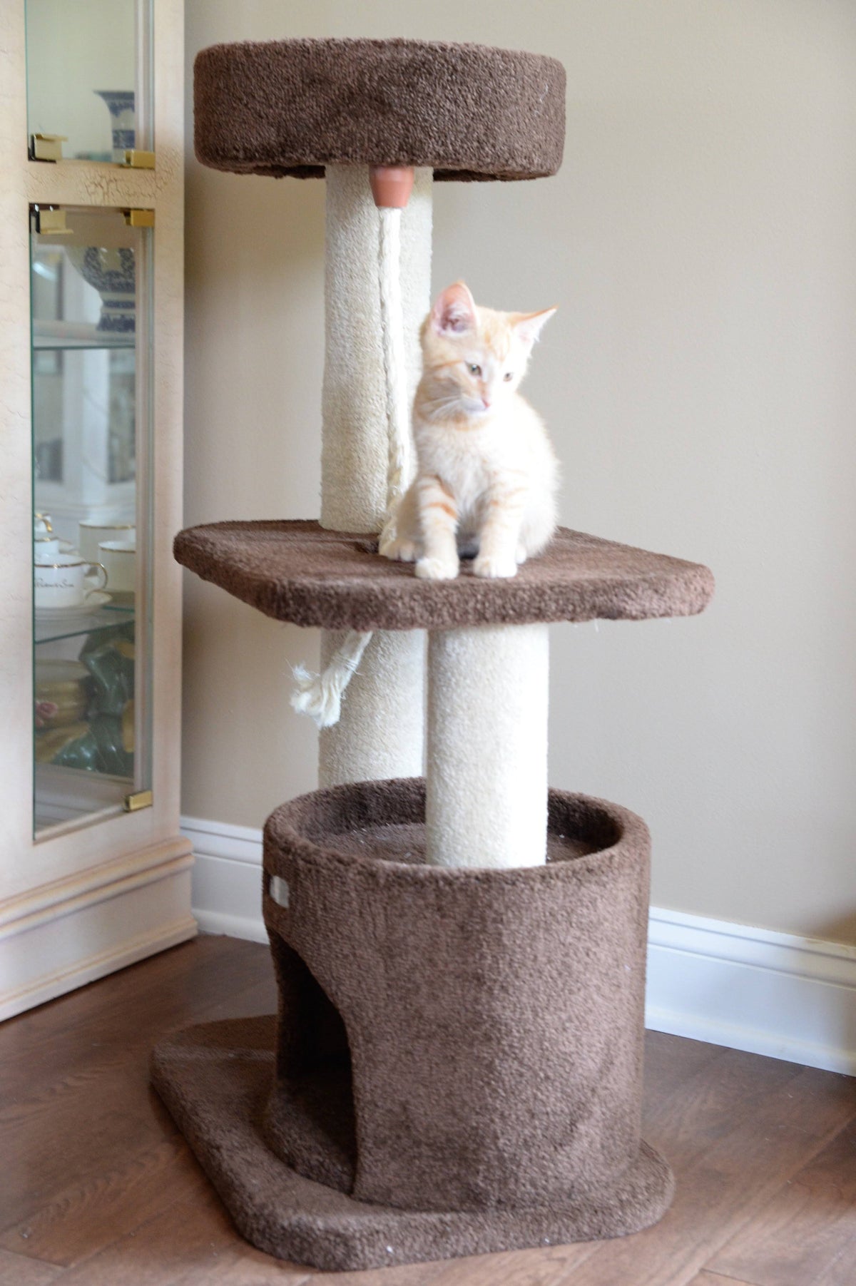 Carpeted Cat Tree E776