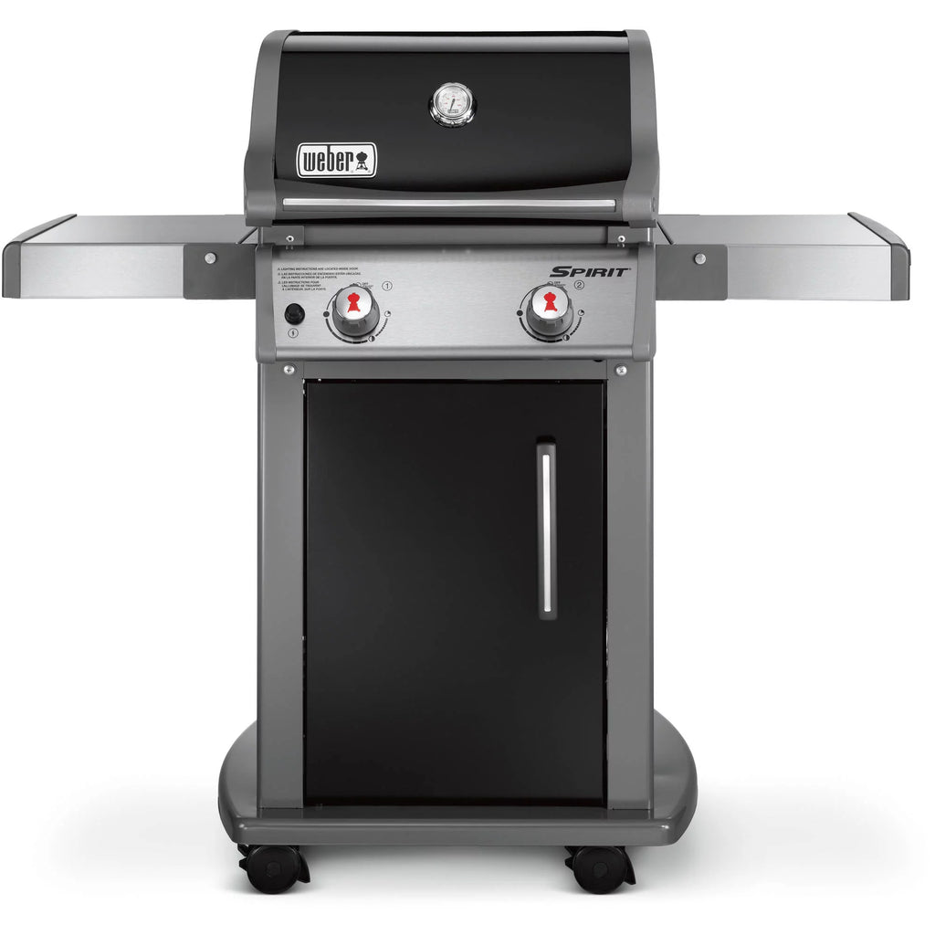 2-Burner Liquid Propane Gas Grill in Black T605