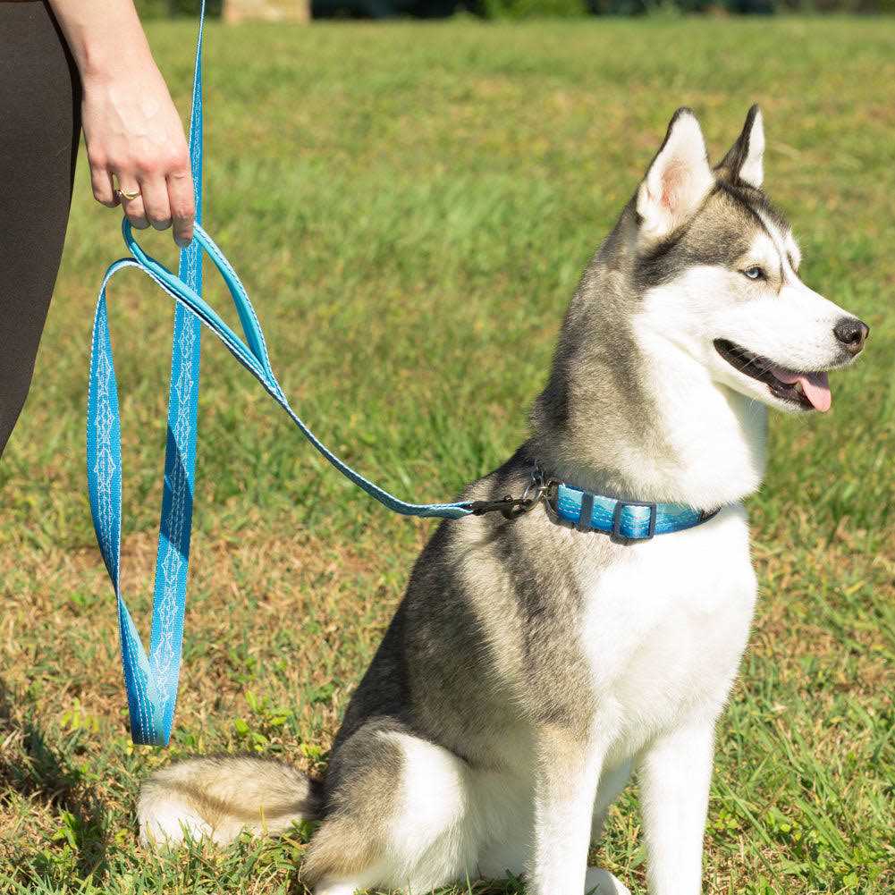 6ft Dog Leash Padded Handle S15424