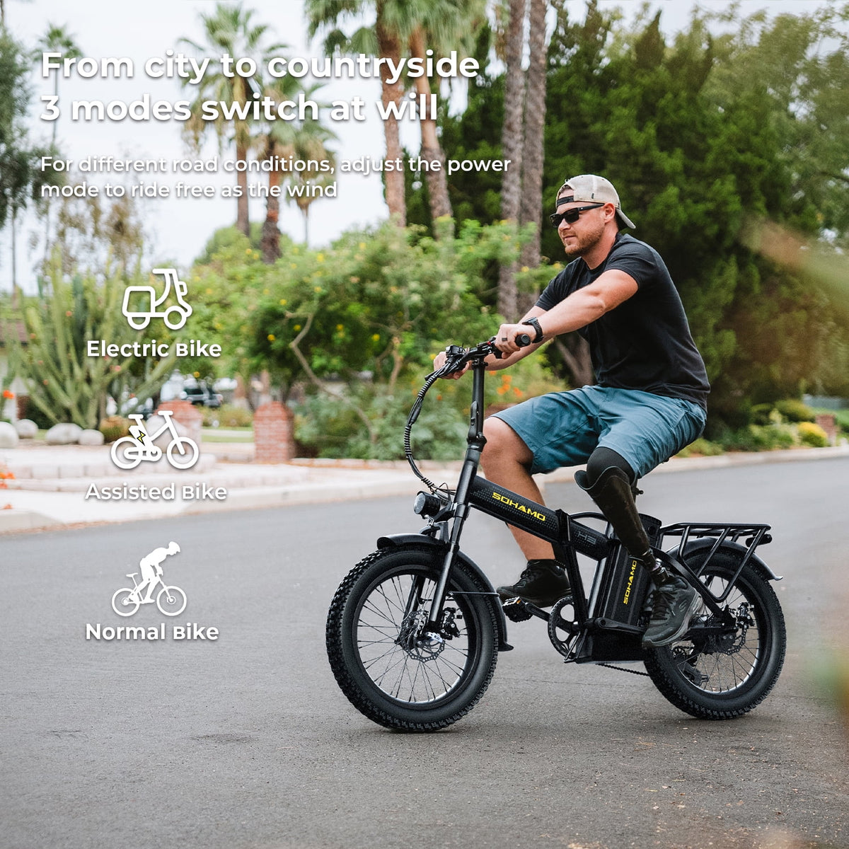 Foldable 20" Fat Tire Electric Bike with 750W Motor E8013