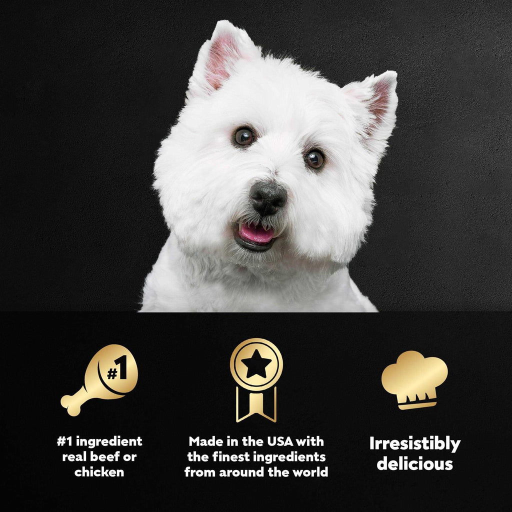 Wet Dog Food Variety Pack T151