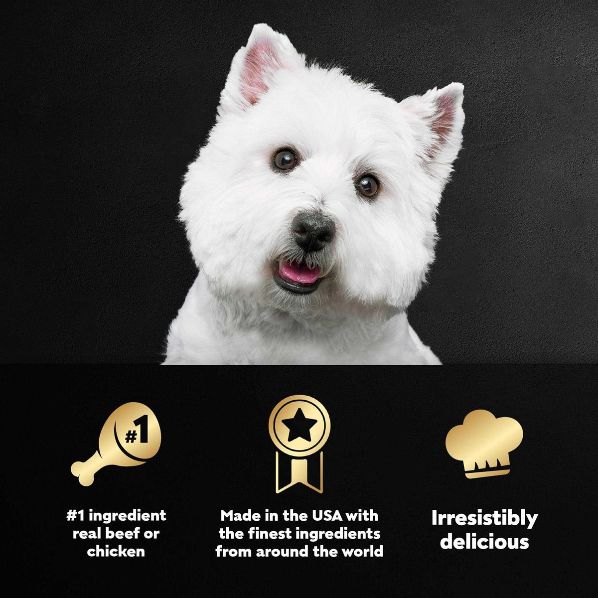 Wet Dog Food Variety Pack T151