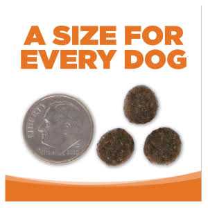 Grain Free Venison Red Lentils Dog Food J136711