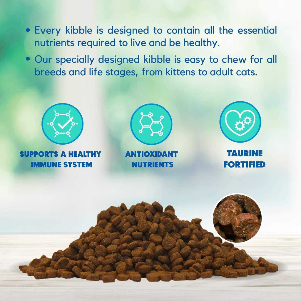 Dry Cat Food Salmon T30288