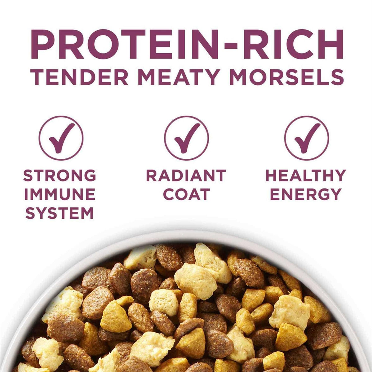 Dry Dog Food F149843