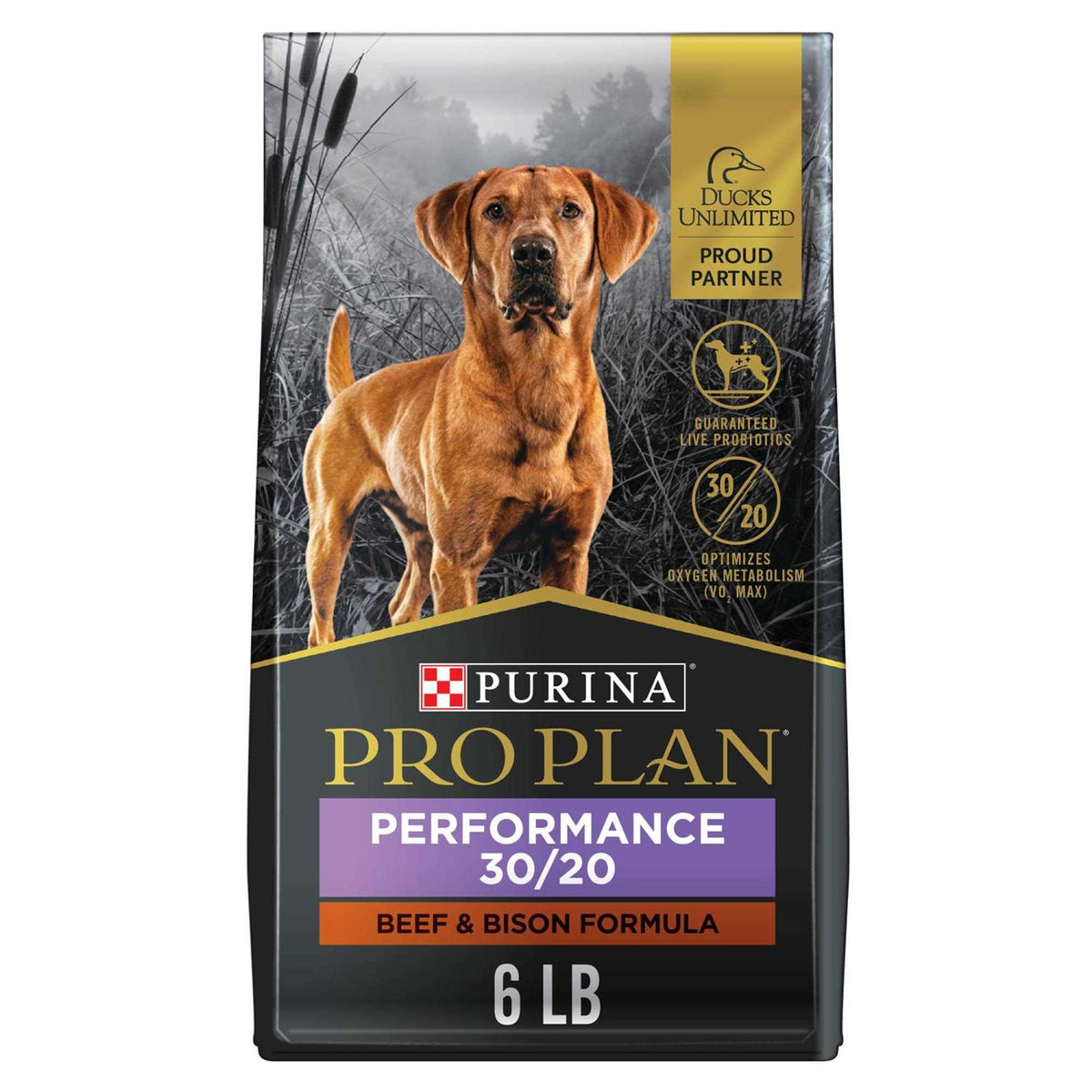 Beef & Bison Formula Dry Dog Food J513