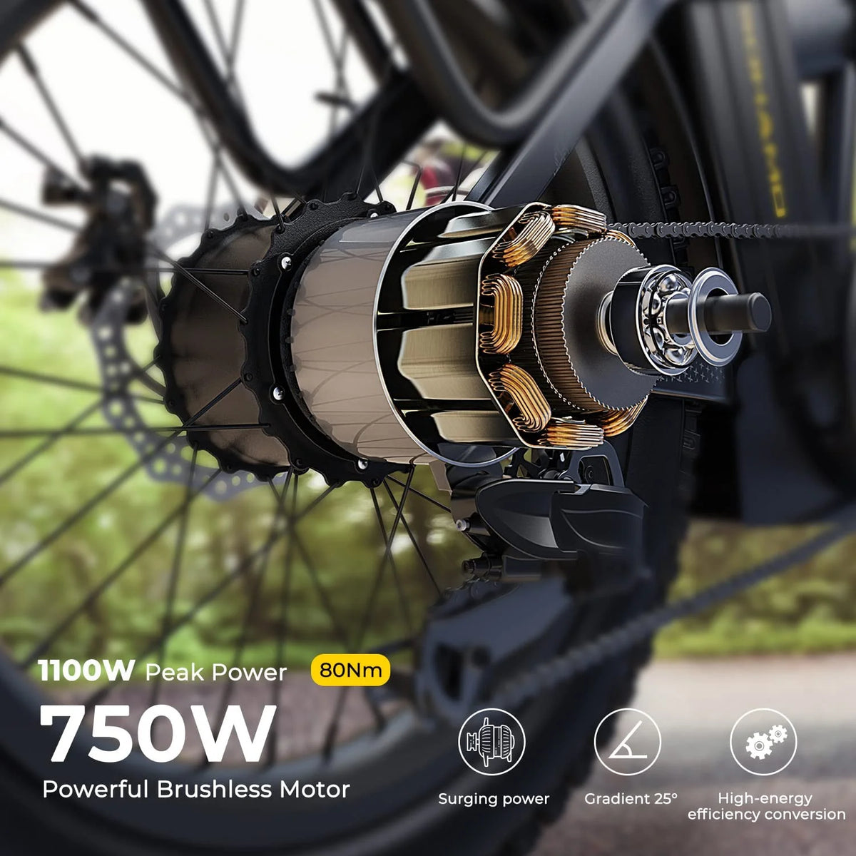 Foldable 20" Fat Tire Electric Bike with 750W Motor E8013