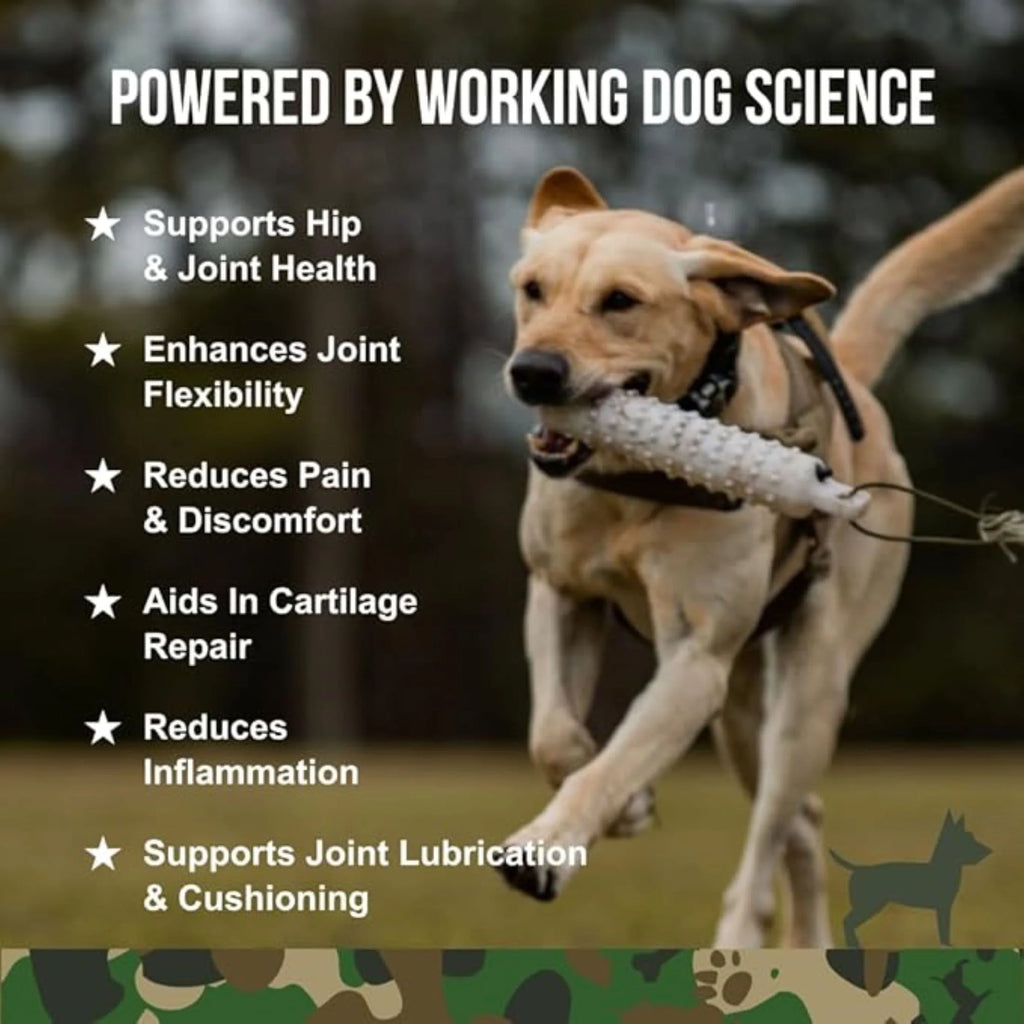 90 Soft Chews Hip & Joint Health Supplement for Dogs O639