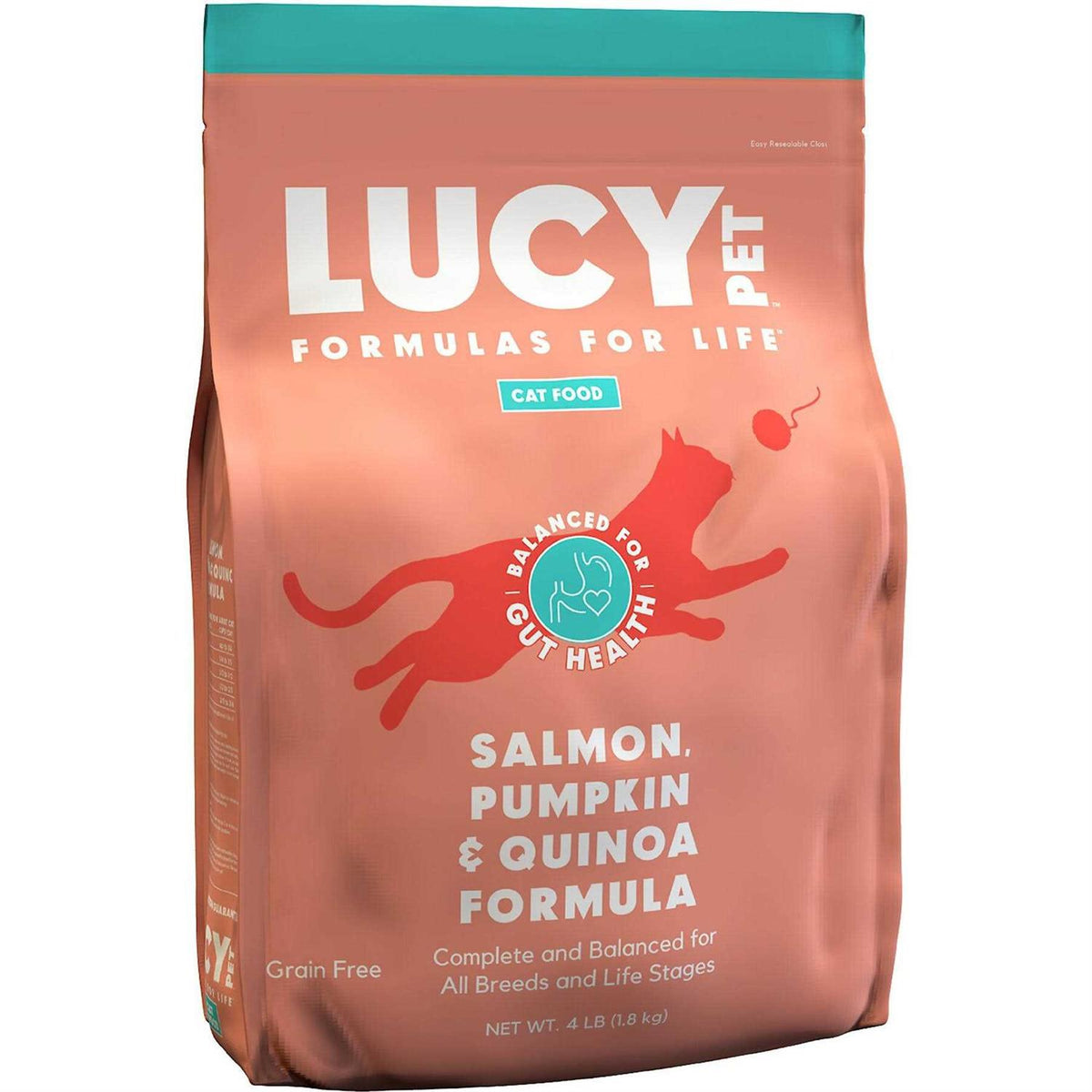 Dry Cat Food Salmon T30288