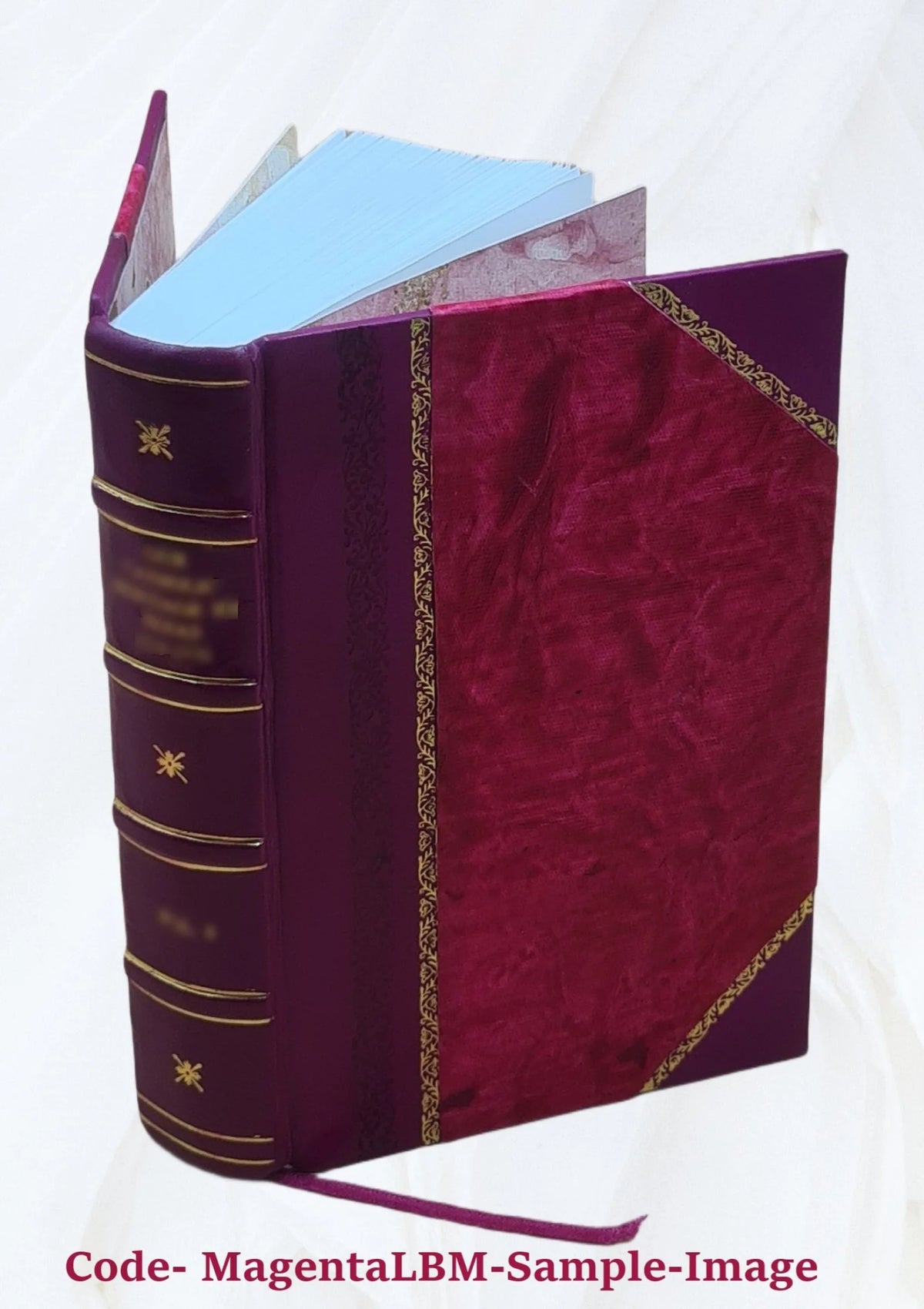 Commentaria in septem distinctiones de paenitentia Leather Bound T75816