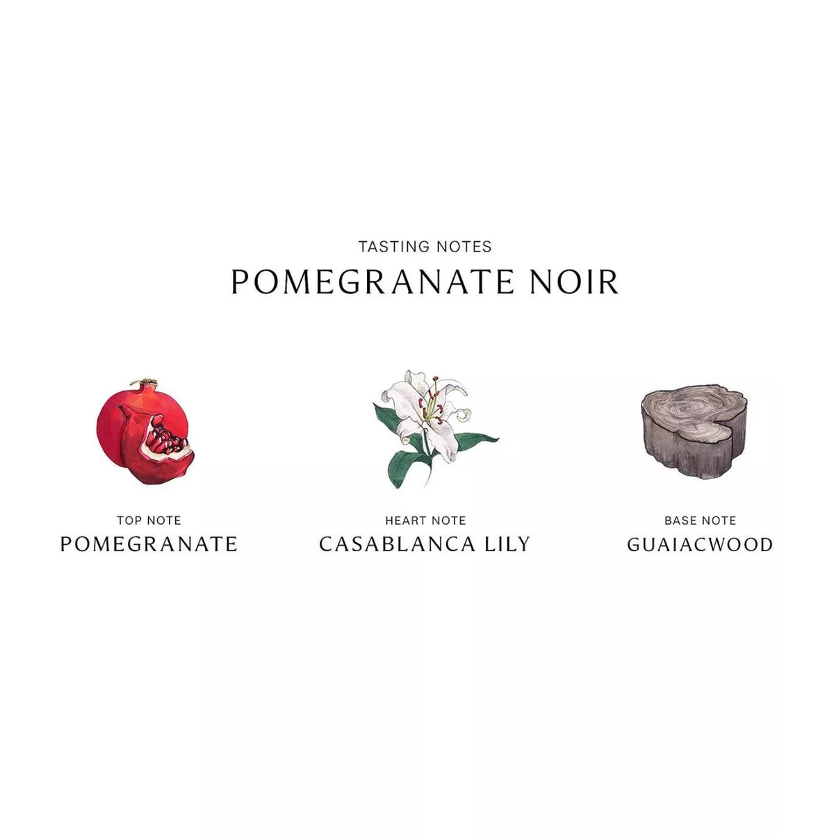 Pomegranate Noir Diffuser 5.6 oz G7039
