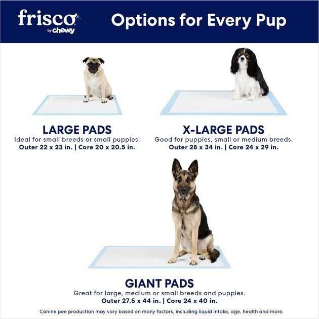 Training Potty Pads F1895