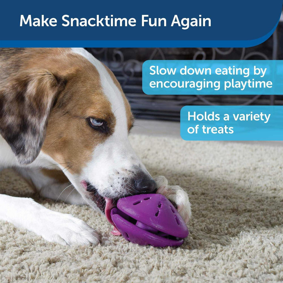 Dog Toy G320468