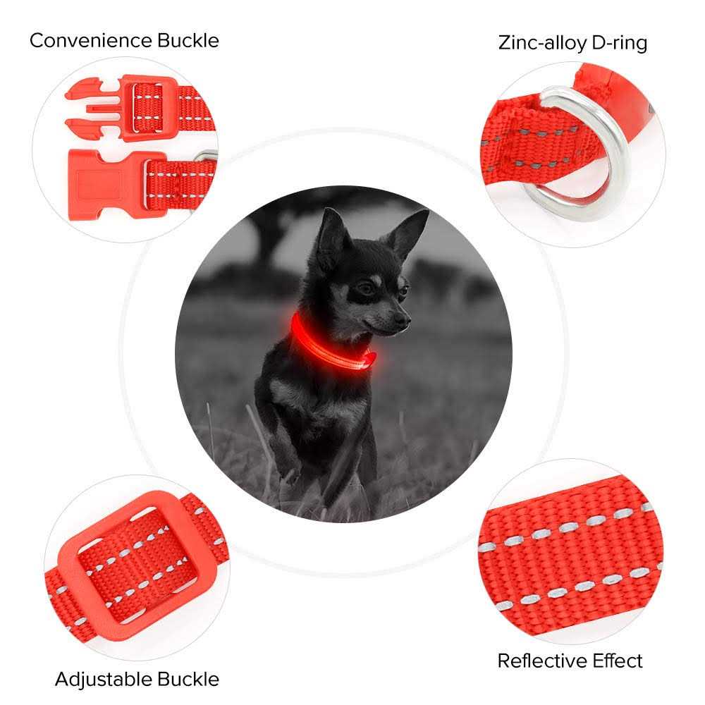 Light Rechargeable LED Dog Collar I69299