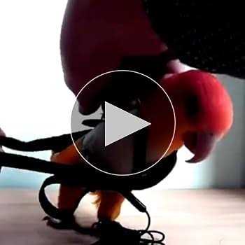 Adjustable Bird Harness and Leash B81862